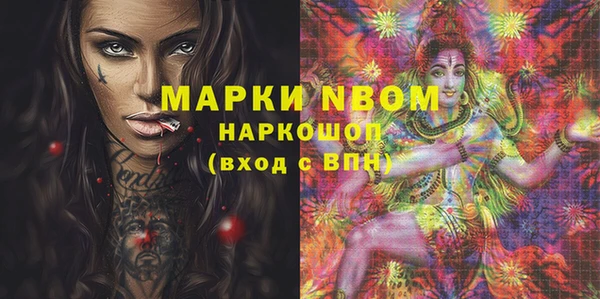 ECSTASY Алзамай