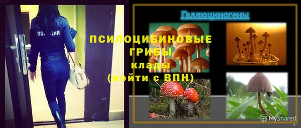 ECSTASY Алзамай