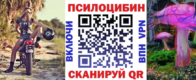Псилоцибиновые грибы Psilocybine cubensis  продажа наркотиков  Томмот 