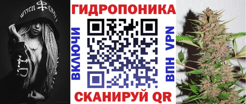 blacksprut зеркало  Томмот  Бошки Шишки AK-47 